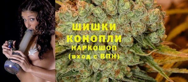 прущие крисы Абаза
