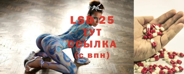 прущие крисы Абаза