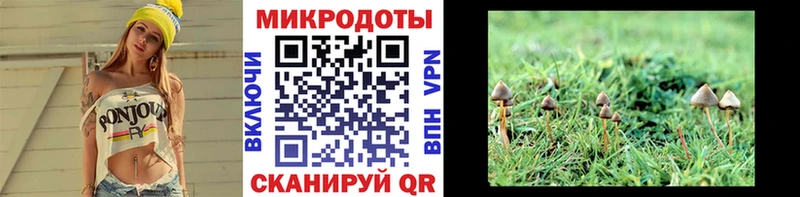Галлюциногенные грибы GOLDEN TEACHER  darknet Telegram  Петров Вал 